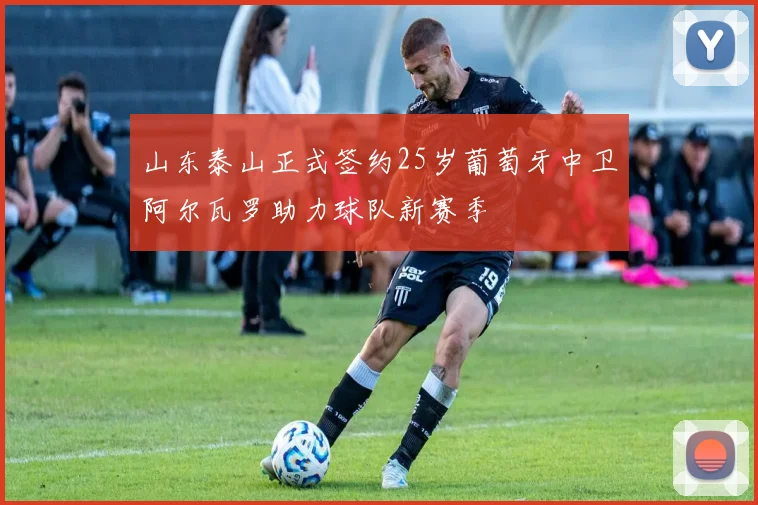 山东泰山正式签约25岁葡萄牙中卫阿尔瓦罗助力球队新赛季
